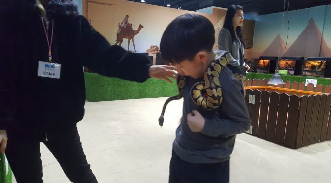 수원 애니멀카페 아쿠아 주